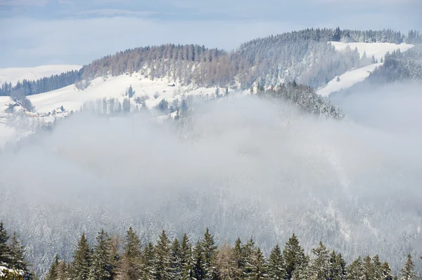 Nebbia invernale sul monte Pilatus, Lucerna, Svizzera . — Foto Stock