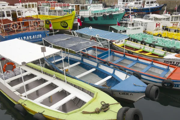 游船停泊在瓦尔帕莱索，智利瓦尔帕莱索港. — 图库照片