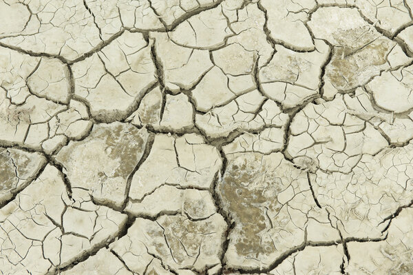 Сухая почва на бывшем дне Аральского моря, Аральск, Казахстан
.