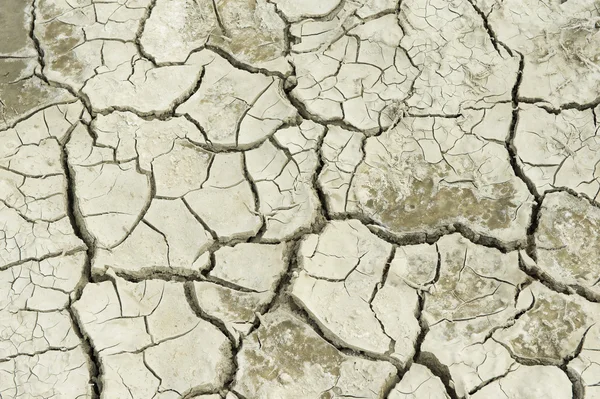 Dry soil at the former sea bed of the Aral sea, Aralsk, Kazakhstan. — Stock Photo, Image
