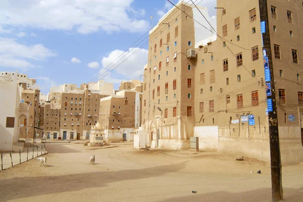 Cabras manejadas por una calle vacía de la ciudad de Shibam, Shibam, Yemen . — Foto de Stock