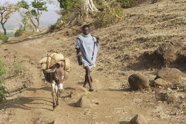 Muž chodí cestou krajiny v Bahir Dar, Etiopie. — Stock fotografie