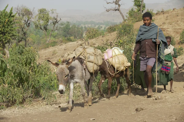 People walk barefoot by countryside path in Bahir Dar, Ethiopia. — Stock Photo, Image