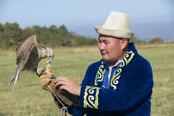 Hombre alimenta halcón circa Almaty, Kazajstán . — Foto de Stock