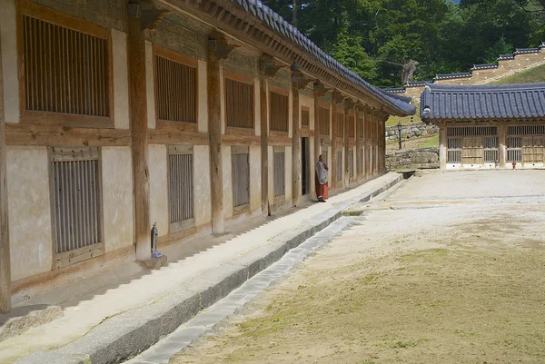 Monge budista fica na entrada do armazenamento Tripitaka Koreana no templo Haeinsa em Chiin-Ri, Coréia . — Fotografia de Stock