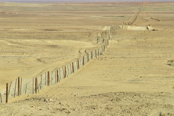 Dingoe çit içinde Avustralya Outback.