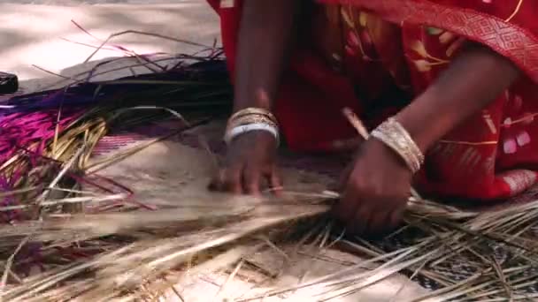 Senhora tece tapete de bambu em Tangail, Bangladesh . — Vídeo de Stock