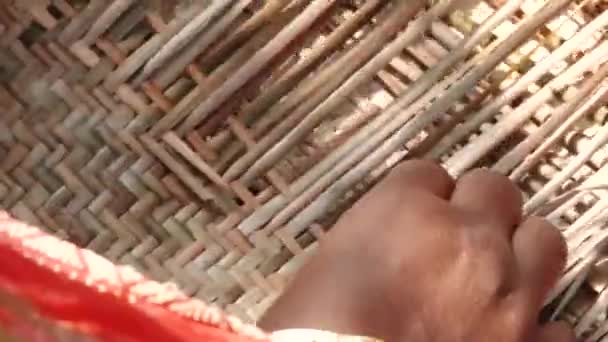 Bangladeshi lady weaves bamboo bark producing bamboo mat in Tangail, Bangladesh. — Stock Video