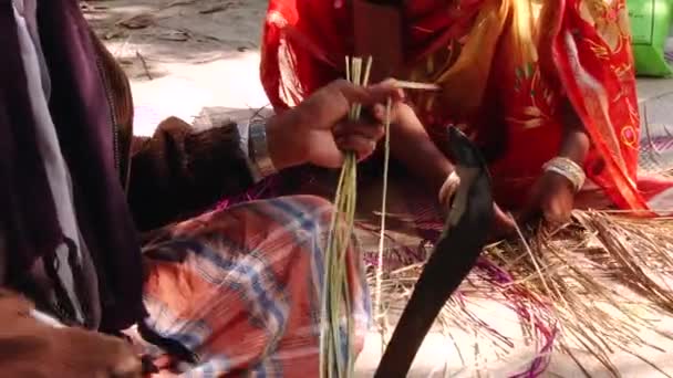 사람들이는 Tangail, 방글라데시에 대나무 매트를 생산 하는 대나무를 잘라. — 비디오