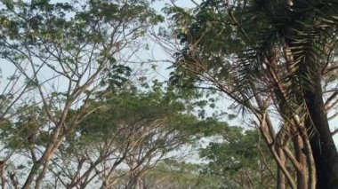 Jessore, Bangladeş'te karayoluyla adam bisiklet ile gidiyor.