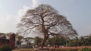 Bagerhat, Bangladeş'te Shat Gombuj caminin dış.