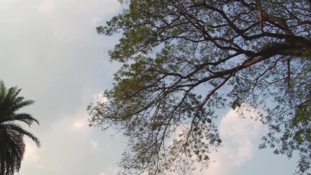 Außenansicht der shat gombuj Moschee in Bagerhat, bangladesh. — Stockvideo