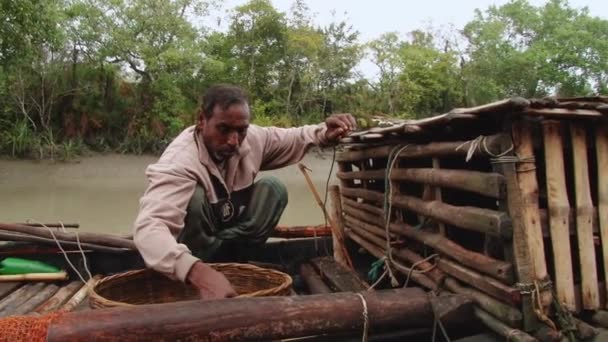 I pescatori alimentano le lontre in uno dei canali del Parco Nazionale Sundarbans a Mongla, Bangladesh . — Video Stock