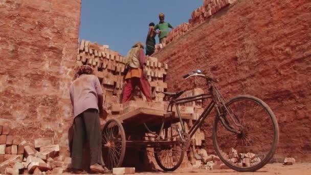 Trabalhadores carregam bicicleta com tijolos em Daca, Bangladesh . — Vídeo de Stock