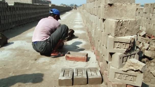 Man bildar tegel från lera vid fabriken i Dhaka, Bangladesh. — Stockvideo