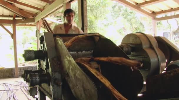 男は、ボワ シェリー、モーリシャスでビンテージの破砕機でサトウキビを押しつぶす. — ストック動画