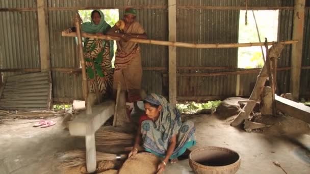 Vrouwen propageren rijst op een traditionele manier in Tangail, Bangladesh. — Stockvideo