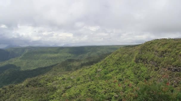Blick in den tropischen Dschungel auf der Insel Mauritius. — Stockvideo