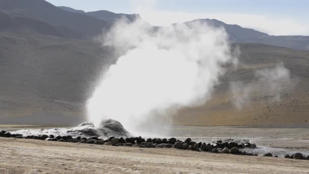 Geyser em erupção no vale El Tatio Geyser em San Pedro de Atacama, Chile . — Vídeo de Stock