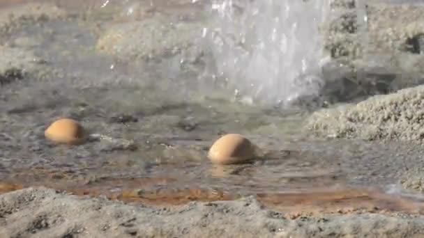 Deux œufs bouillant dans les eaux géothermiques du geyser El Tatio à San Pedro de Atacama, Chili . — Video