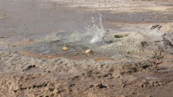 Deux œufs bouillant dans les eaux géothermiques du geyser El Tatio à San Pedro de Atacama, Chili .