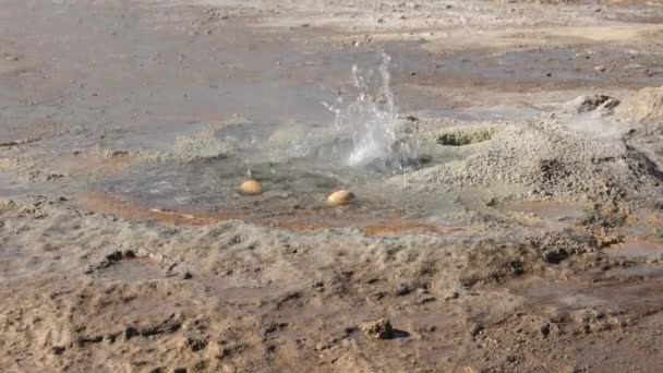 Два яйца кипят в геотермальных водах гейзера Эль Татио в Сан-Педро-де-Атакама, Чили . — стоковое видео