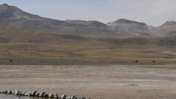 Geyser em erupção no vale El Tatio Geyser em San Pedro de Atacama, Chile . — Vídeo de Stock