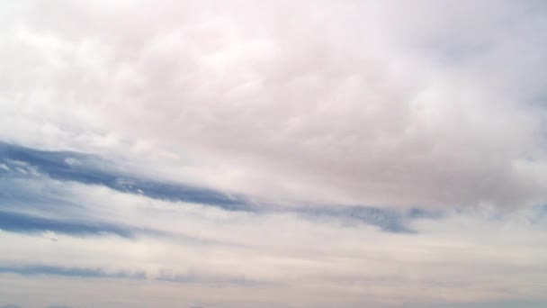 Modrá obloha a slané jezero s plameňáky v poušti Atacama, Chile. — Stock video