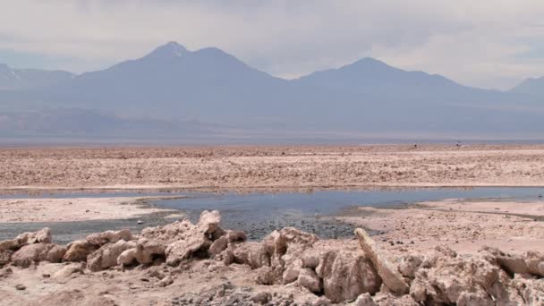 Met het oog op de zoutmeer en de Andes bergen met mensen op de achtergrond in de Atacama woestijn, Chile. — Stockvideo