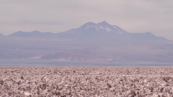 Вид на соленую поверхность пустыни на фоне Анд в пустыне Атакама, Чили . — стоковое видео