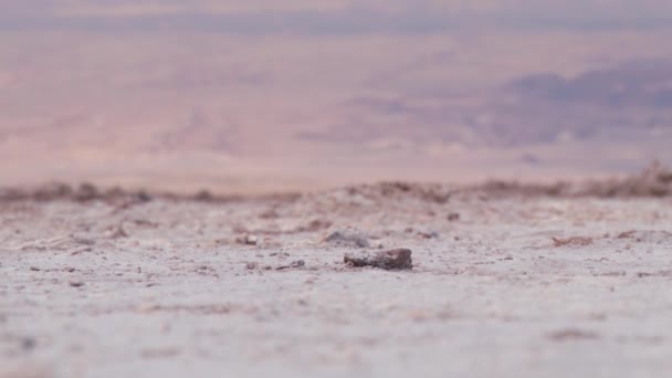 Tuzlu çöl yüzeyde Andes Dağları ile arka planda Atacama Çölü, Şili için görüntüleyin. — Stok video