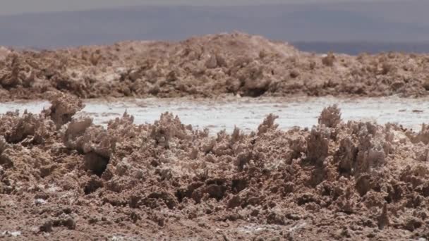 Tuz ve kil Atacama Çölü, Şili'deki kristallerinin dış. — Stok video