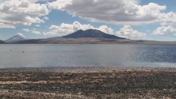 Vista al lago Chungara con cordillera volcánica al fondo del Parque Nacional Lauca, Chile . — Vídeos de Stock