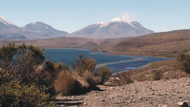 View to the Chungara lake with volcanic mountain range at the background in Lauca National Park, Chile. — Stock Video