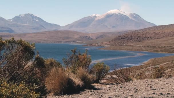 Nézd a Chungara tó, vulkáni hegység: a háttérben Lauca Nemzeti Park, Chile. — Stock videók