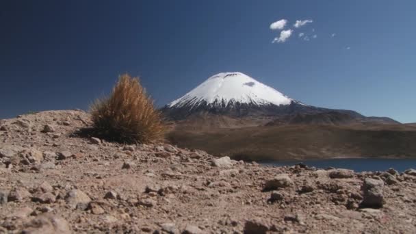 Veduta del vulcano Parinacota nel Parco Nazionale di Lauca, Cile . — Video Stock