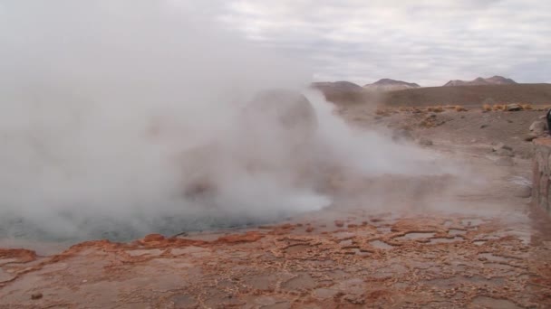 El Τατοΐου geyser βράζει στο διάσημο El Τατοΐου geyser κοιλάδας, Χιλή. — Αρχείο Βίντεο