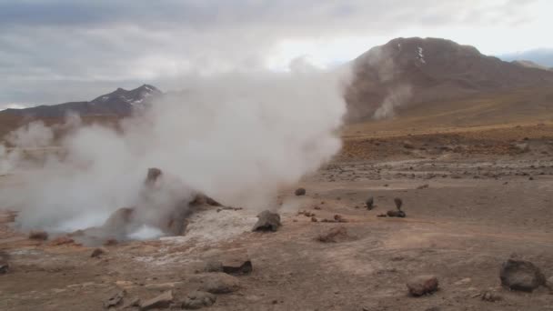 El géiser Tatio hierve en el famoso valle del géiser El Tatio, Chile . — Vídeo de stock