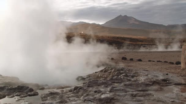 El Tatio 간헐천 유명한 El Tatio 간헐천 계곡, 칠레에서 해돋이에 스팀. — 비디오