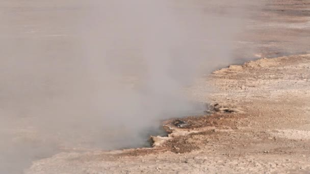 La fuente de agua termal produce vapor caliente en el valle del géiser El Tatio, Chile . — Vídeo de stock