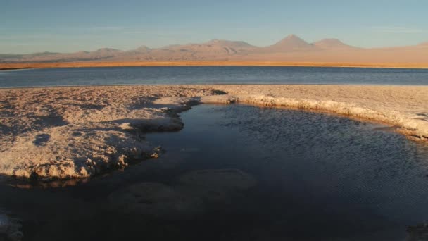 Hullámok, a sós tó Laguna Cejar, San Pedro de Atacama, Chile. — Stock videók