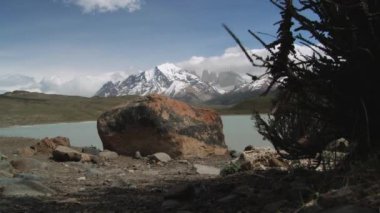 Bitkiler kuvvetli rüzgar Torres del Paine Milli Parkı'nda, Patagonia, Şili tarafından salladı.