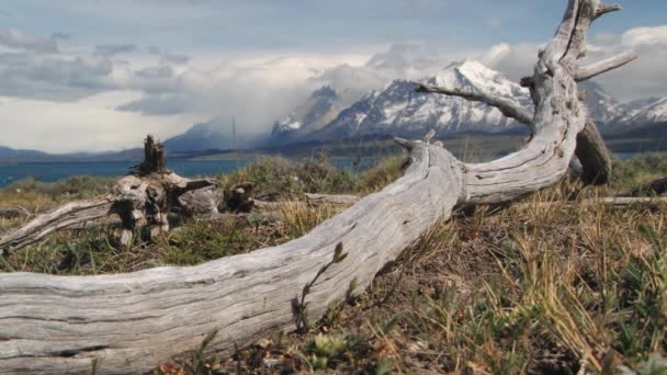 Krásné scenérie Torres del Paine národního parku, Patagonie, Chile. — Stock video