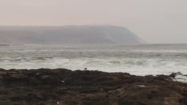 Visa att den ligger på sea side byggnader av staden Arica, Chile. — Stockvideo