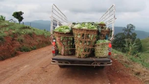 Pickupa z warzywami odbiega od plantacji, Chiang Mai, Tajlandia. — Wideo stockowe