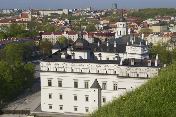 View to the Cathedral and Vilnius city from Gediminas hill in Vilnius, Lithuania. — Stock Photo, Image