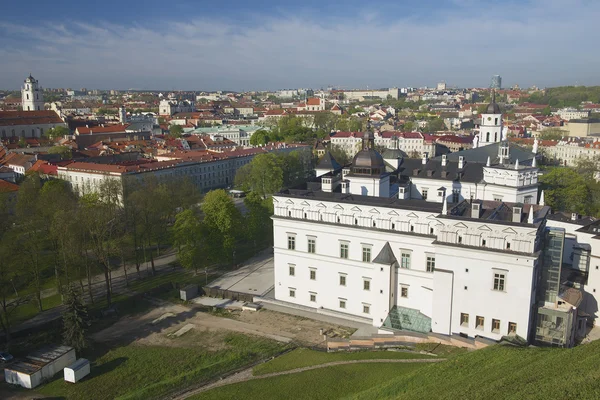 View to the Cathedral and Vilnius city from Gediminas hill in Vilnius, Lithuania. — Stock Photo, Image