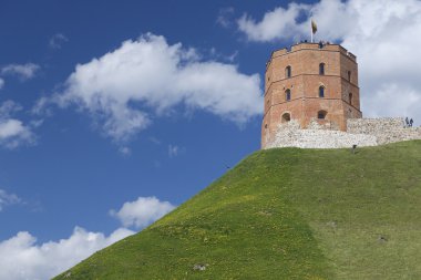 Dış Gediminas kulenin Vilnius, Litvanya.