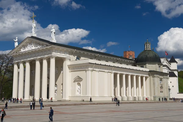 La gente camina por la plaza de la Catedral en Vilna, Lituania . — Foto de Stock