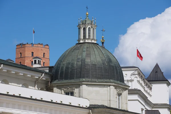 Visa att kupolen av domkyrkan med Gediminas torn på bakgrunden i Vilnius, Lithuania. — Stockfoto